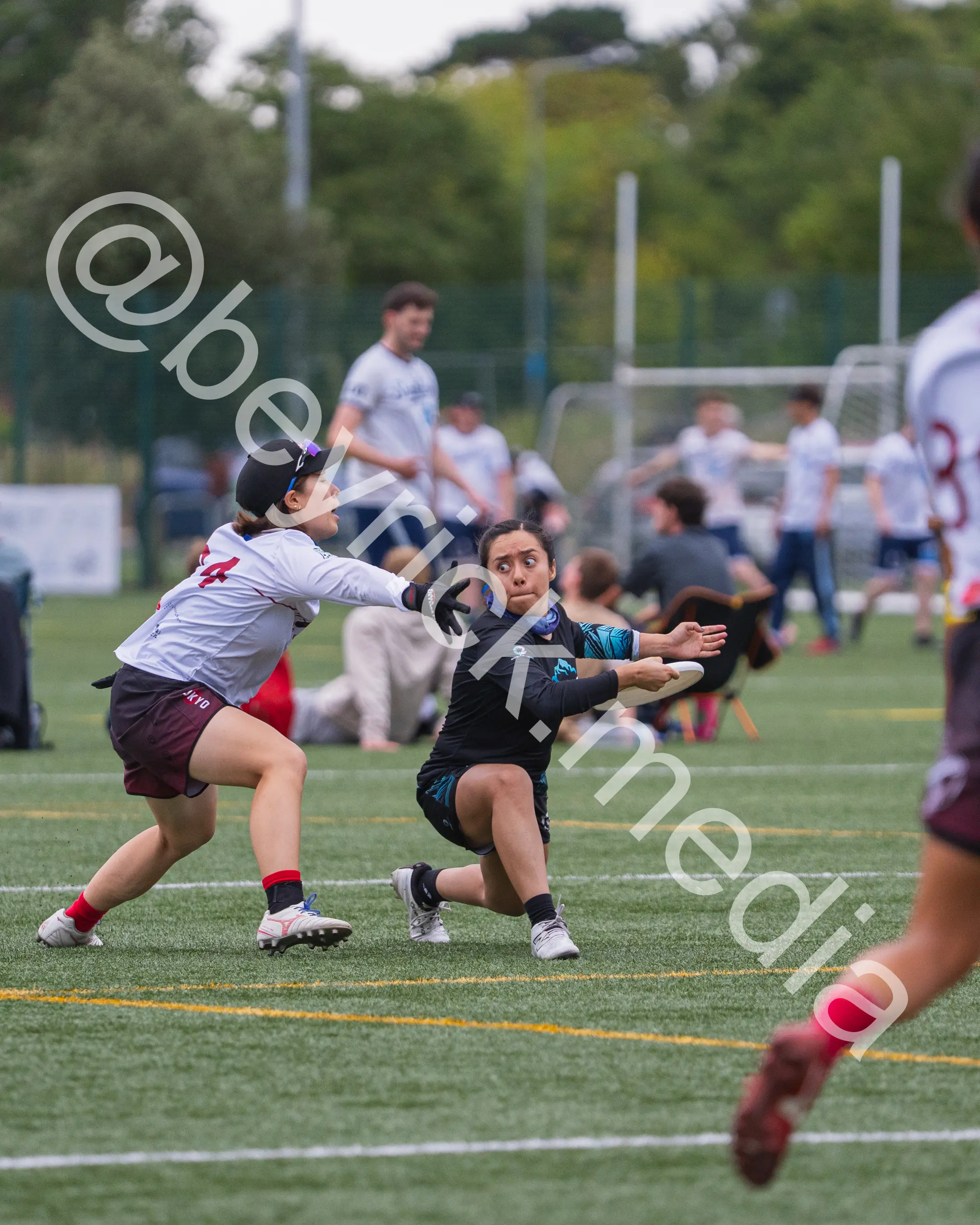 Condor — con_wucc26-10.jpg