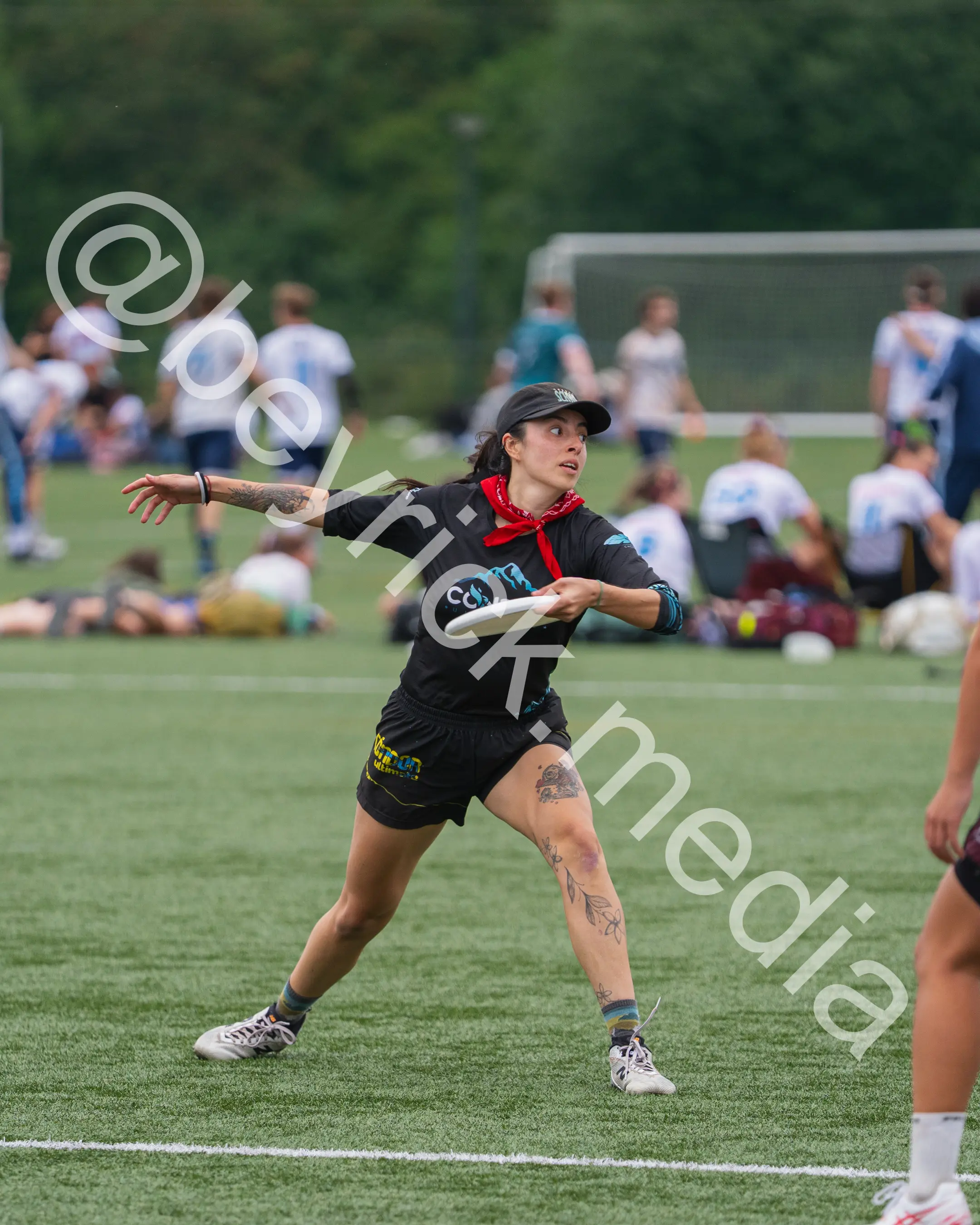 Condor — con_wucc26-2.jpg