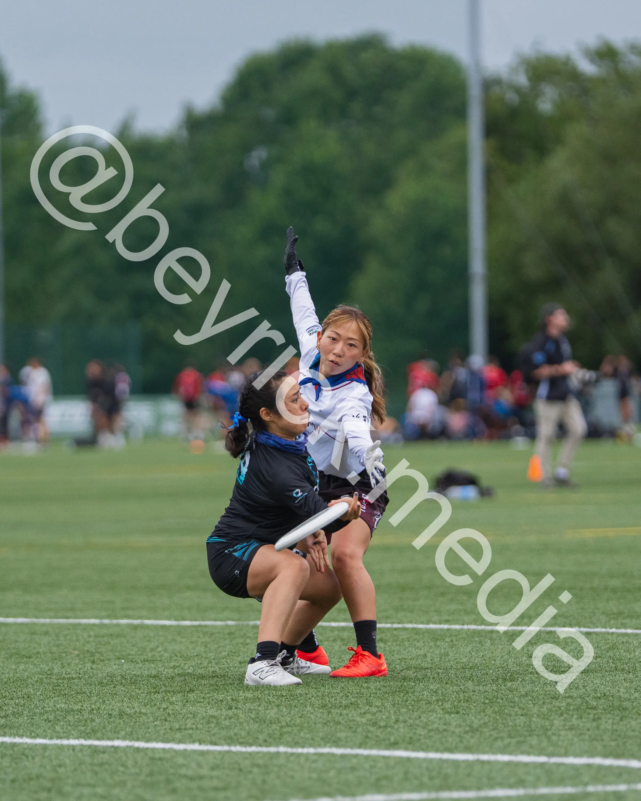 Condor — con_wucc26-23.jpg