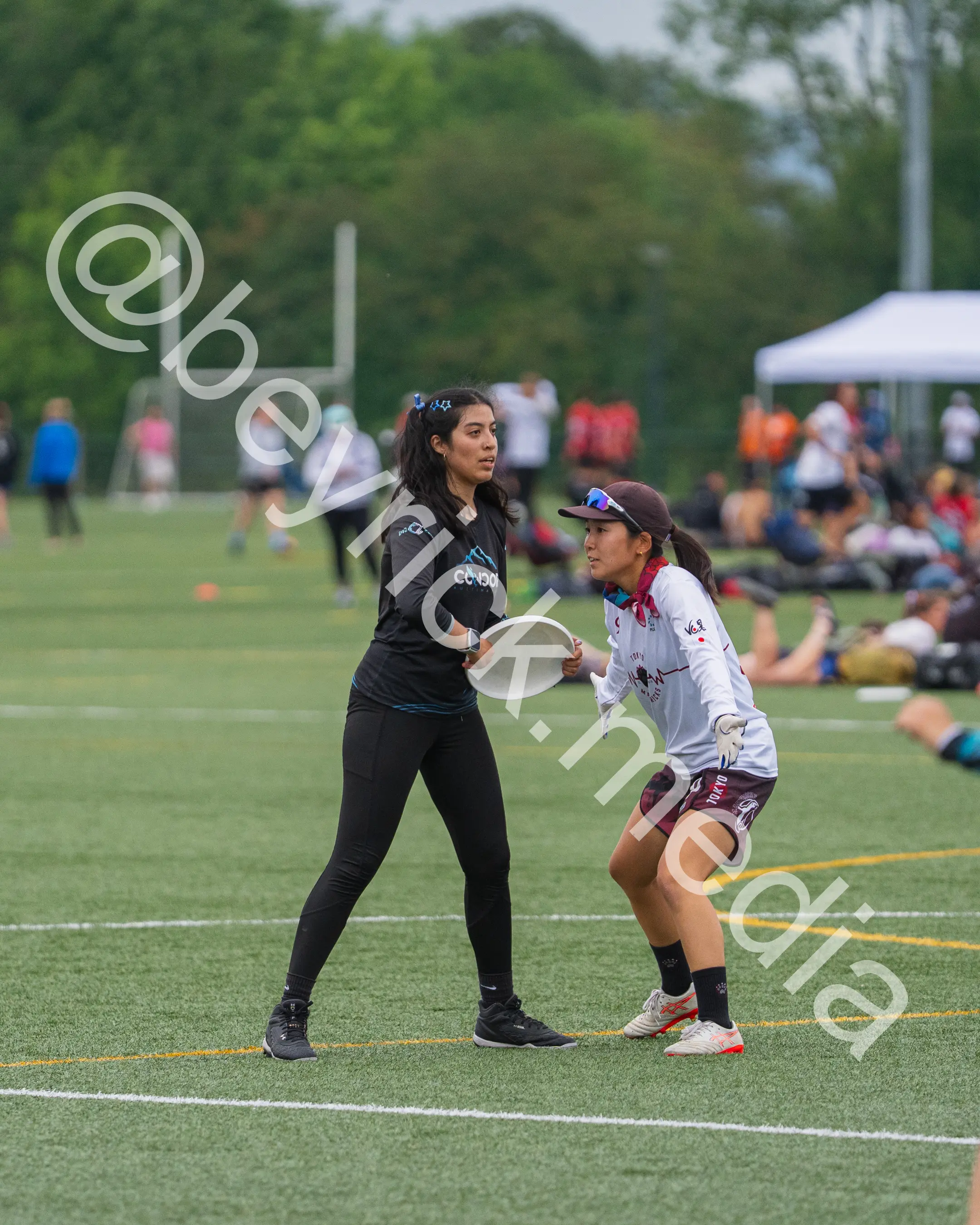 Condor — con_wucc26-25.jpg