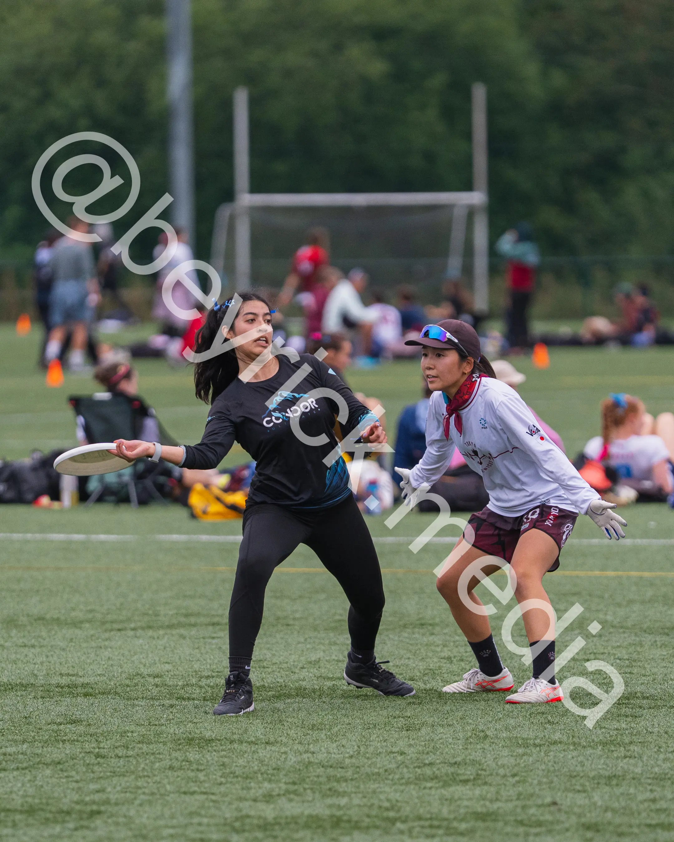 Condor — con_wucc26-28.jpg